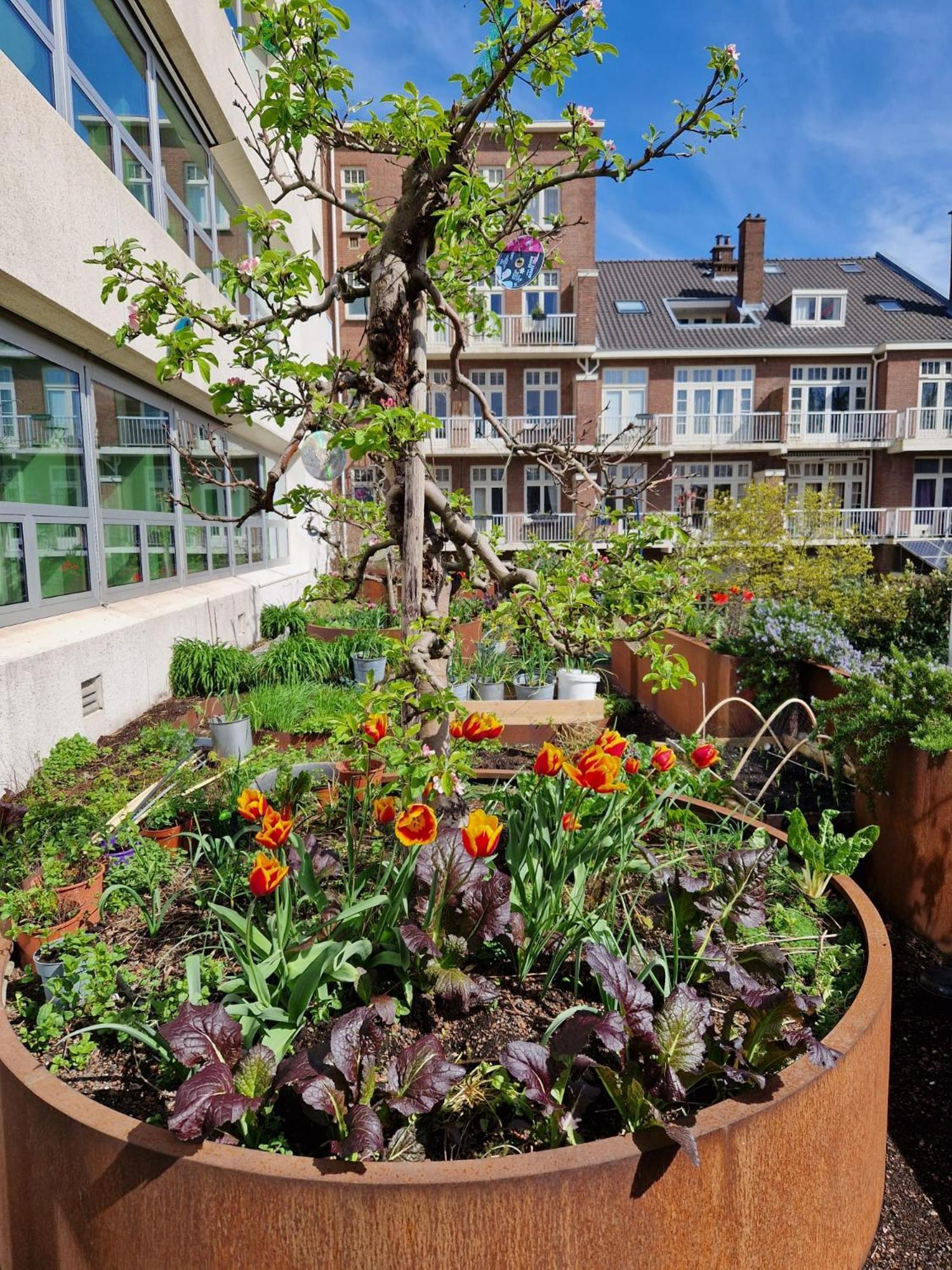 Court Garden - Ecodesigned Hotel