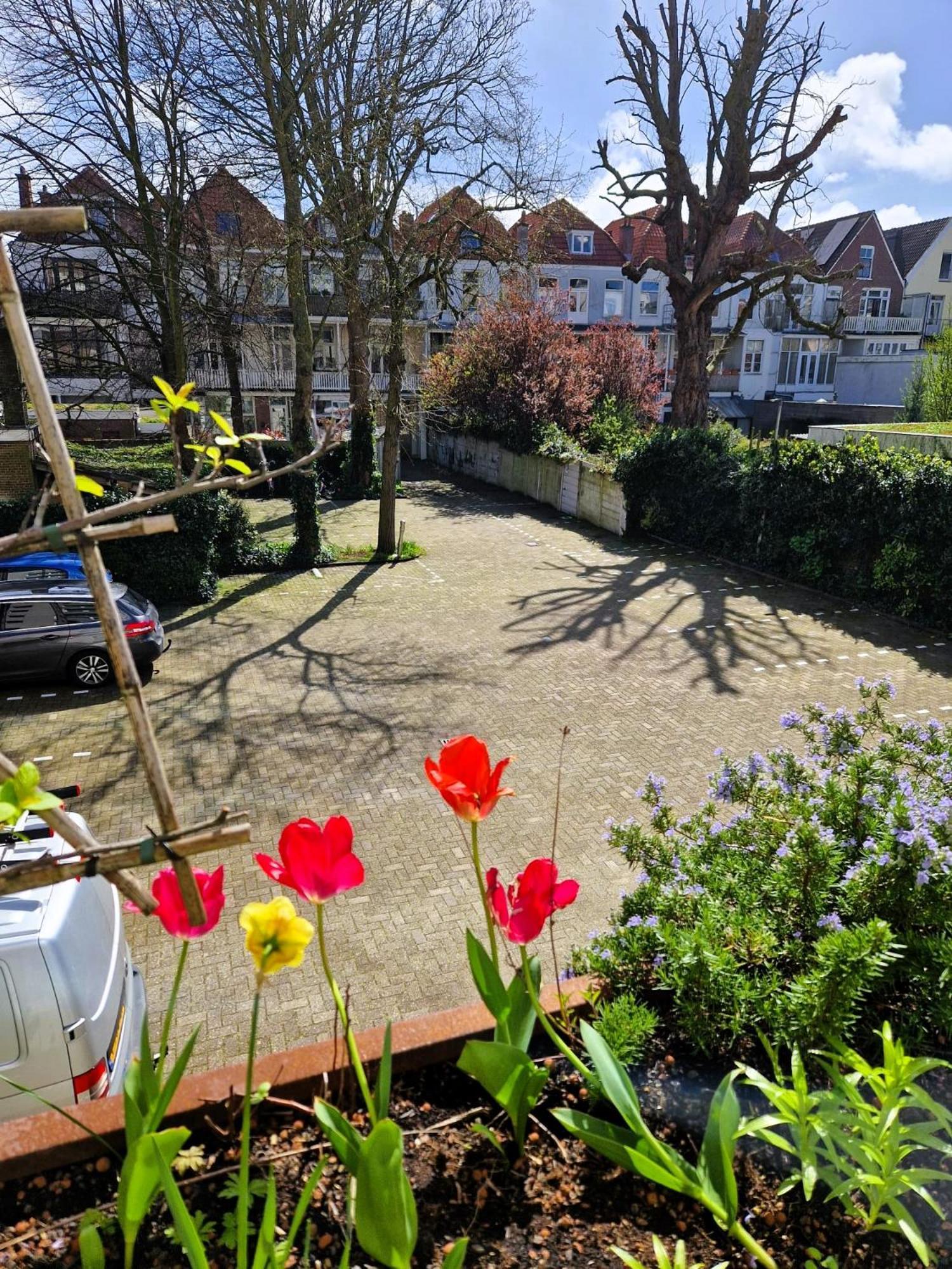 Court Garden - Ecodesigned 4*