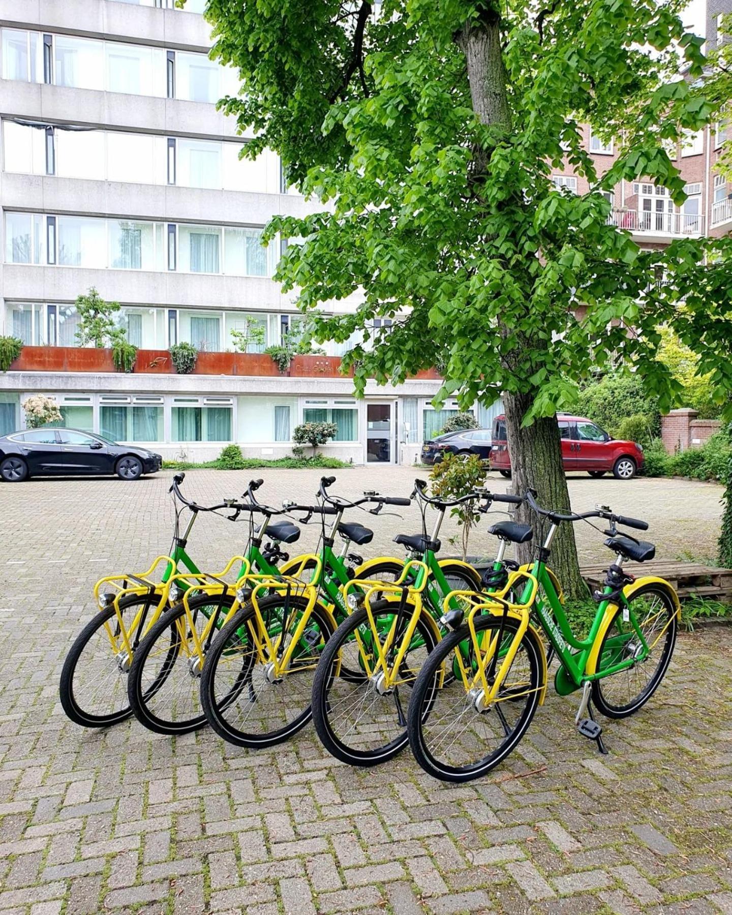 Court Garden Den Haag