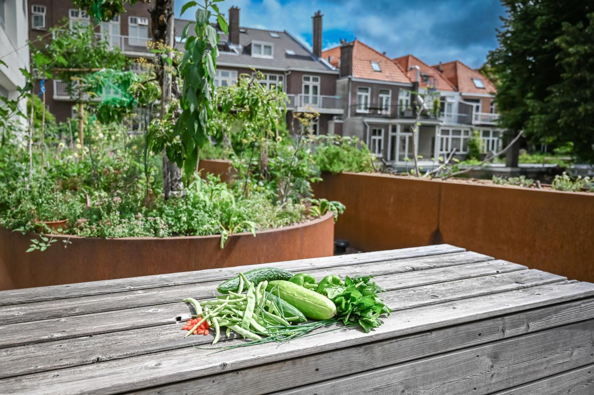 Court Garden - Ecodesigned Hotel